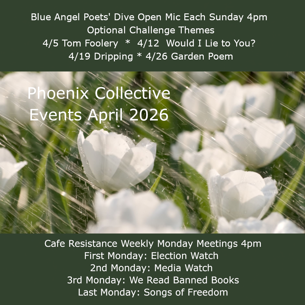 Café Resistance Election Watch